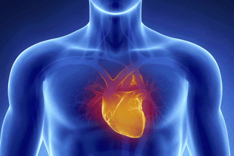La classification des patients AVC selon le moment de détection de la fibrillation auriculaire permet d'affiner le risque de récidive et le traitement anticoagulant.
