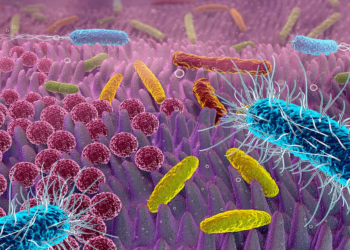 Het menselijk microbioom, doe de quiz!