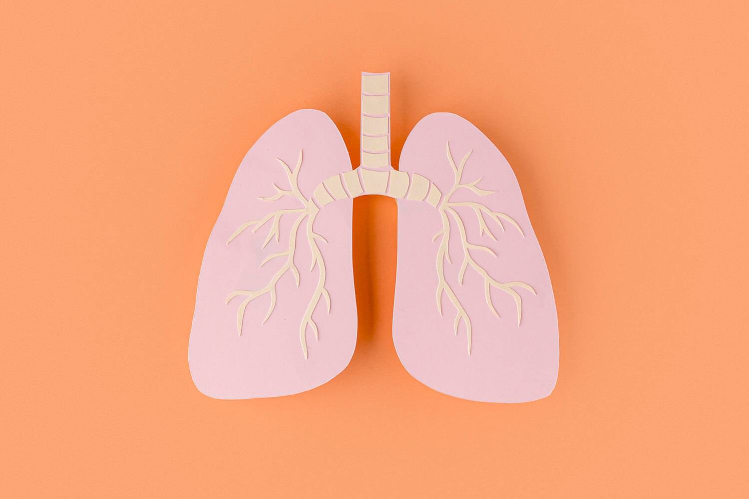 Asthme et BPCO, fréquemment non diagnostiqués en dépit de symptômes respiratoires