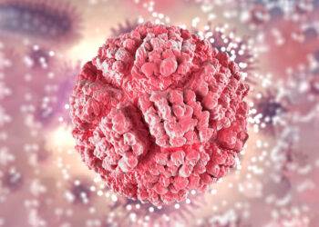 La prévalence élevée des infections à papillomavirus humain (HPV) chez les hommes souligne l'urgence d'inclure la population masculine dans les campagnes de vaccination.