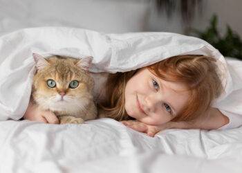 Chat et schizophrénie, connaîtra-t-on un jour le fin mot de l'histoire&nbsp;?