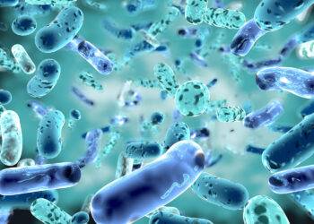 Microbiote du matin, microbiote du soir