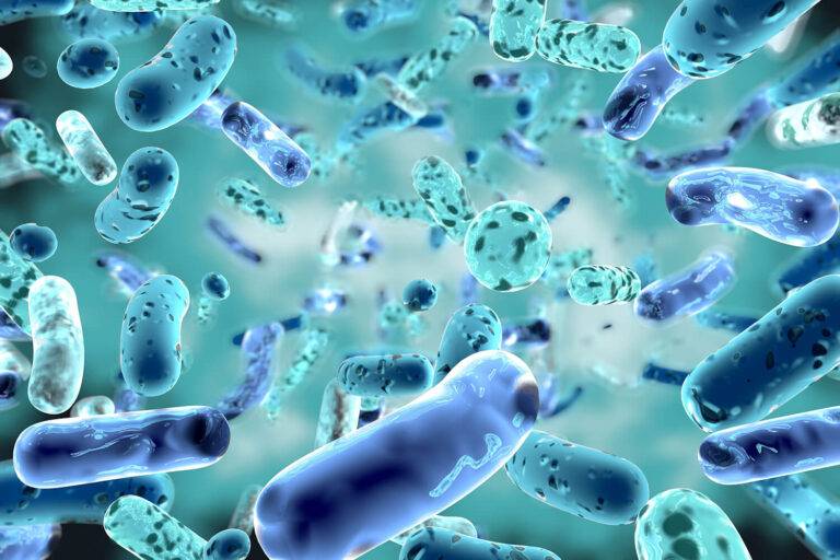 Microbiote du matin, microbiote du soir