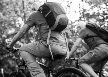 Physiologie de l'exercice et profil lipidique&nbsp;: comment un entraînement d'endurance de haute intensité réduit la graisse viscérale et les triglycérides à poids corporel constant.