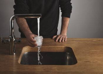 PFAS, fonction rénale et microbiote intestinal