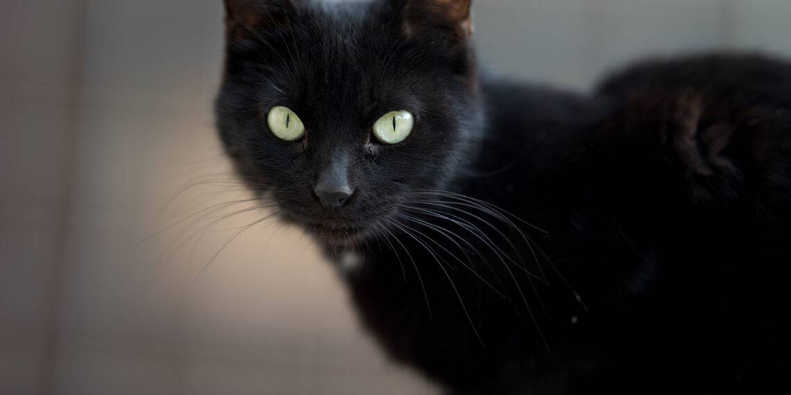 Même en sachant qu'elles sont infondées, nous restons attachés à nos superstitions. Un paradoxe fascinant expliqué par la science.