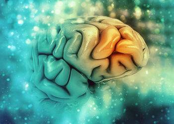 AIT et AVC impactent de façon similaire la fonction cognitive