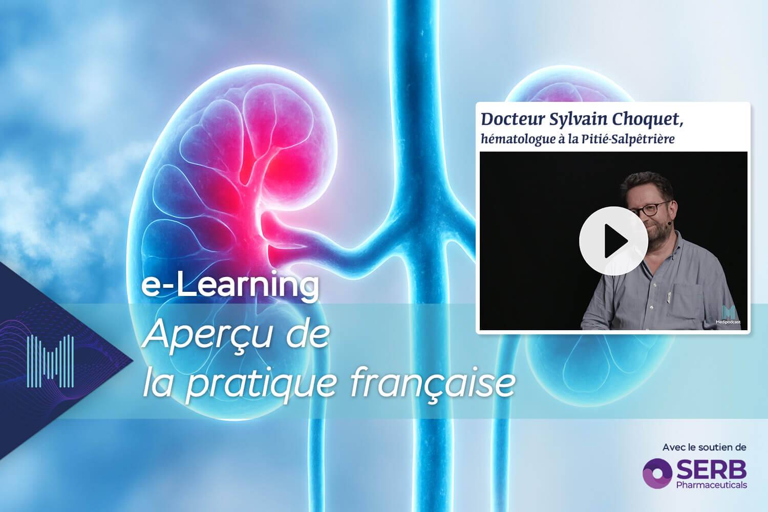 Aperçu de la pratique française