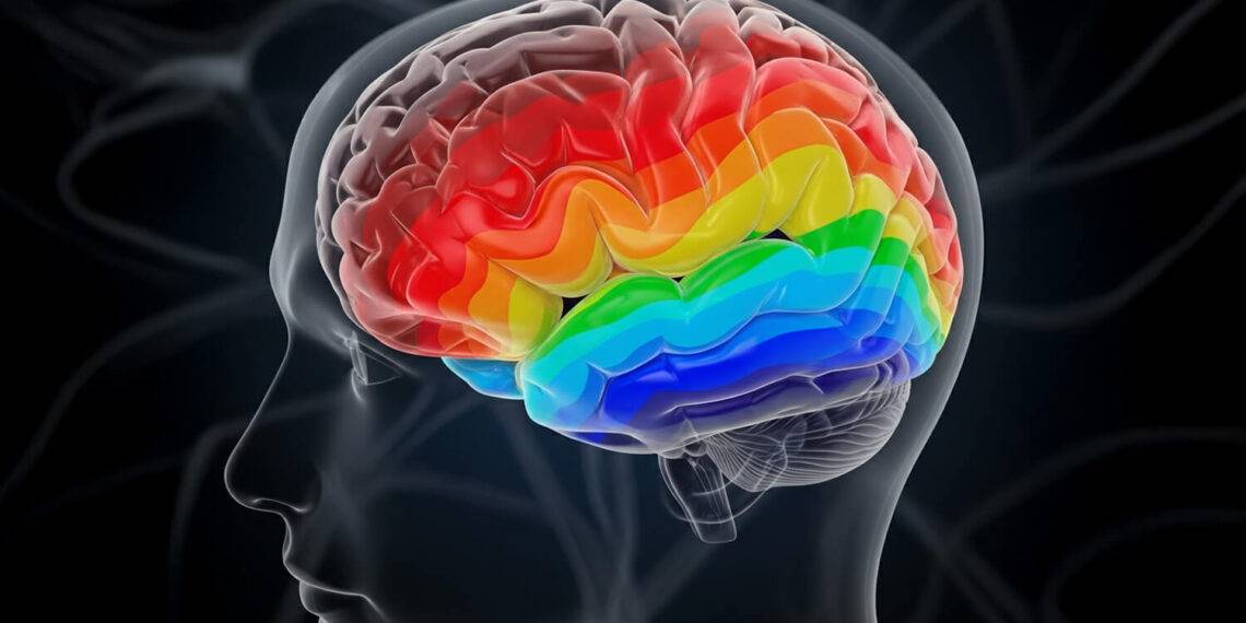 Amputation : le cerveau garde la carte du corps, même sans le membre.