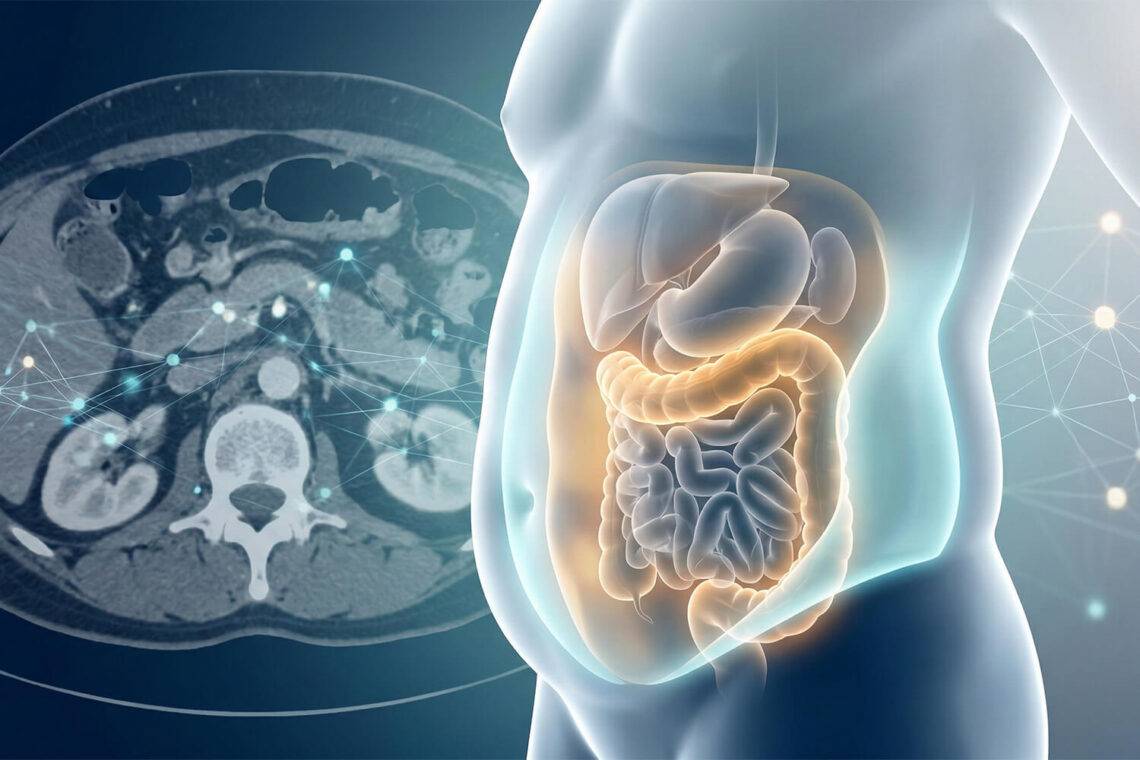 De ratio tussen visceraal en subcutaan vet is een nauwkeurigere indicator voor het risico op type 2-diabetes dan de Body Mass Index (BMI)