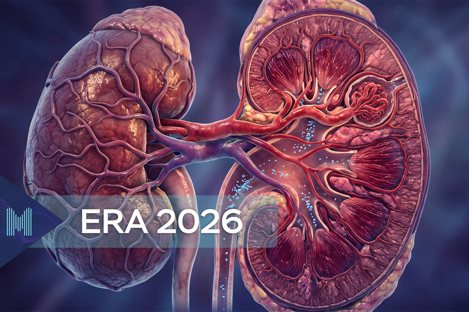 Néphrologie et pharmacovigilance&nbsp;: illustration clinique des mécanismes d'hyperfiltration glomérulaire et risques d'insuffisance rénale chronique liés aux inhibiteurs calciques dihydropyridines chez le patient diabétique de type 2 au congrès ERA 2026.
