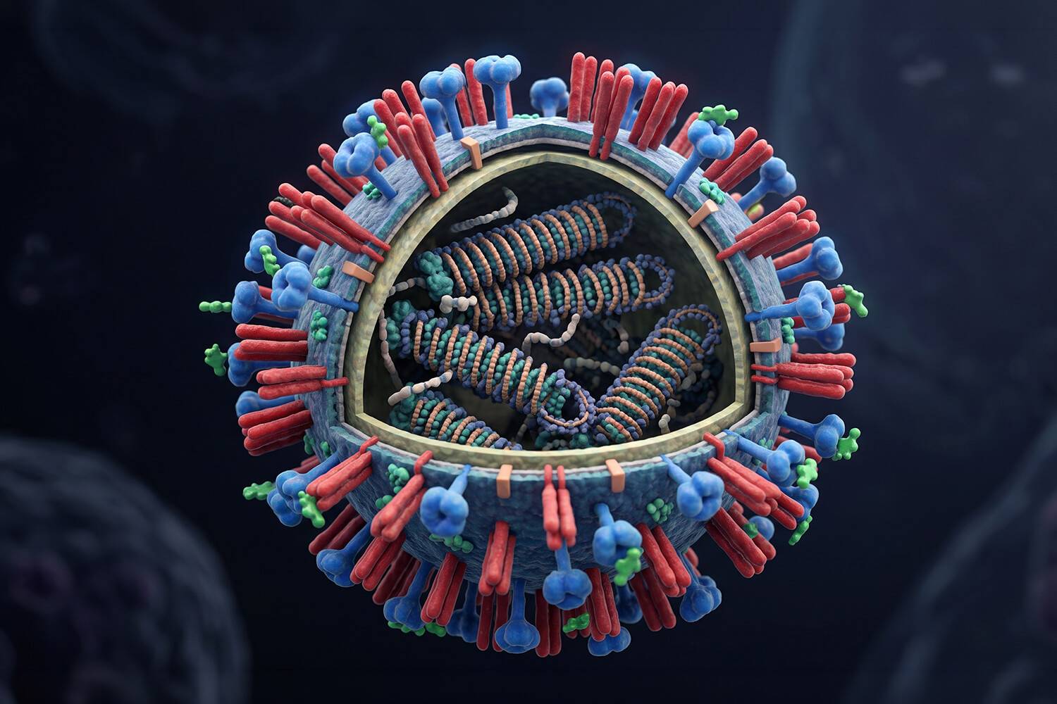 Infectieziekten en antivirale therapie: remming van griepvirusreplicatie door targeting van cellulair nucleoline en farmacologische synergie met oseltamivir.